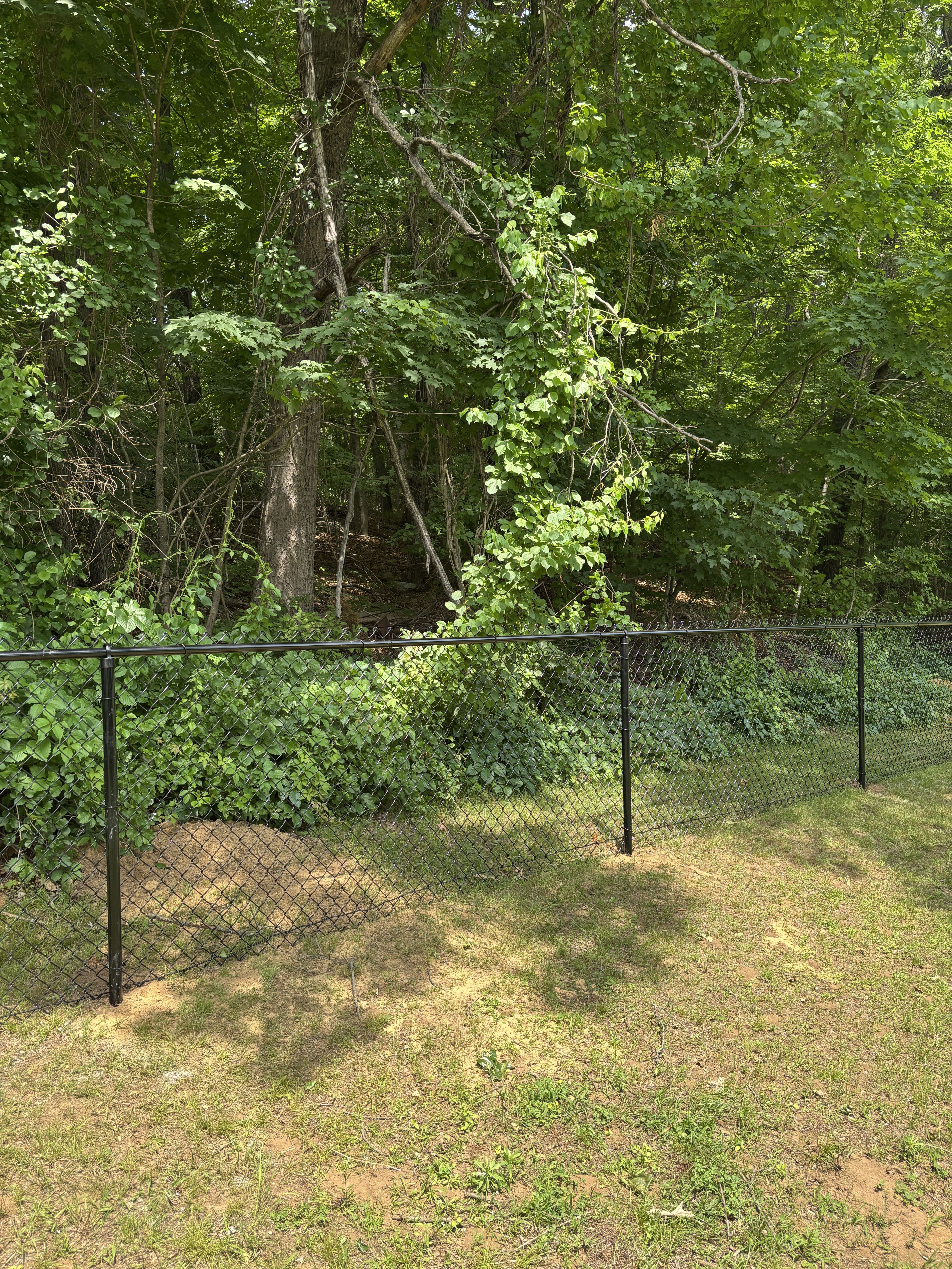 20250613 180524096 IOS