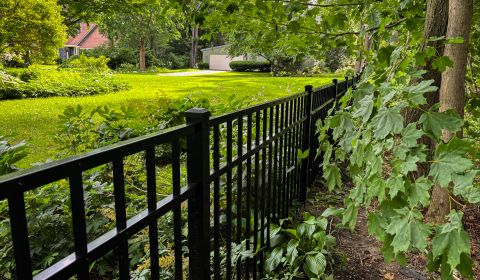 Black Ornamental Aluminum Fence Florence Ma 2