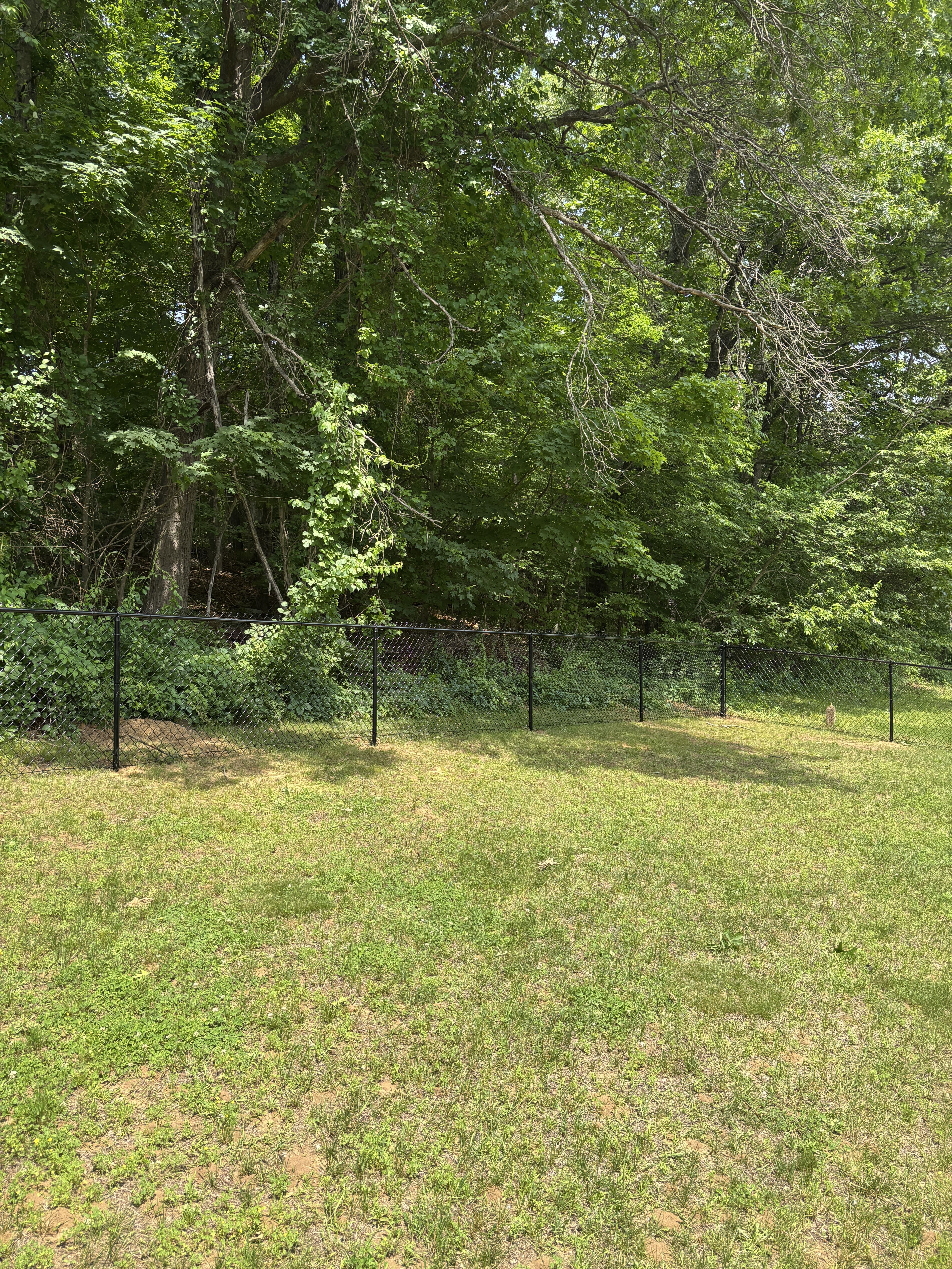 20250613 180534105 IOS