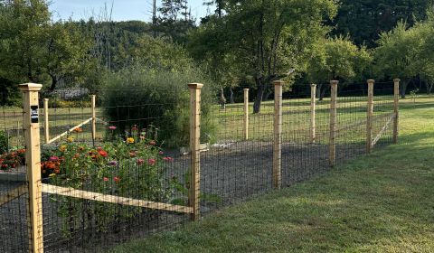 4x4 Pt Post With Black Ww