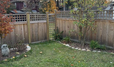 20241030 210731309 IOS