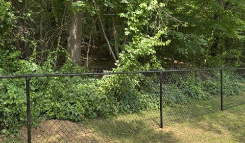 20250613 180524096 IOS